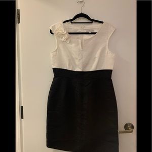 Sandra Darren Black and White Color Block Fitted Dress SZ 14  NWOT